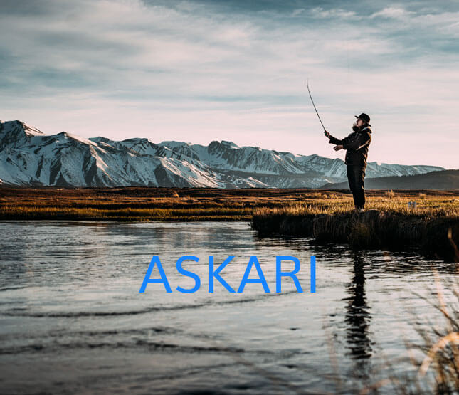 Askari Angelsport: Mit technischem SEO zu einem Sichtbarkeitswachstum von  bis zu 503% - Darius Erdt